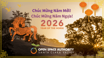 A Lunar New Year graphic shows an orange animated horse against an open space backdrop with the words 2026 in bold centered on the image.