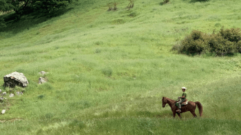 A person rides a brown horse through a green grassland hillside.