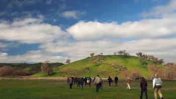 A group of people walking through a green meadow towards a small green hill dotted with trees