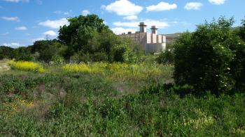 Photo of a green meadow next to an energy center