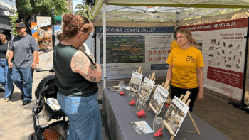 An Open Space Authority representative stands behind an outreach booth that displays four potential destinations being considered as part of the restoration of Coyote Valley while a mother and her young child listen to the representative..