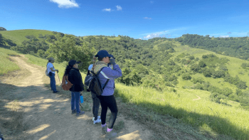 Four hikers on a sunlit, grassy mountain trail, wearing casual outdoor clothes, with lush green hills and a clear blue sky in the background.
