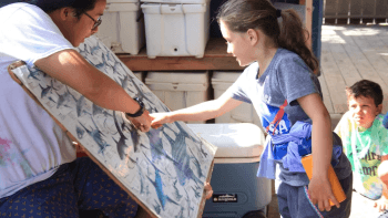 Child pointing to a poster with illustrations of shark species