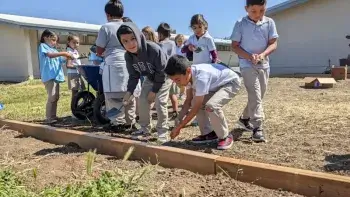Group of children in gray school uniforms gathered around a garden bed