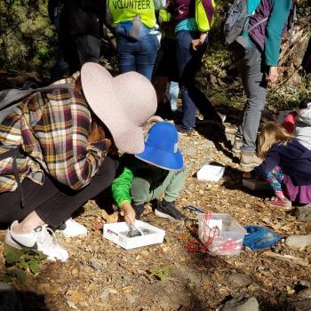 An adult and two children wearing hats squat on the ground and crouch over white square containers filled with water, looking in  