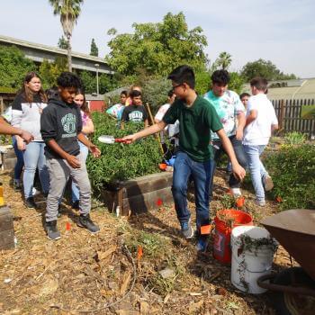 A group of about 10 middle school students stands in a garden in a loose line; the student in the front wearing a green t-shirt and jeans turns around to pass a small trowel to the student behind him 