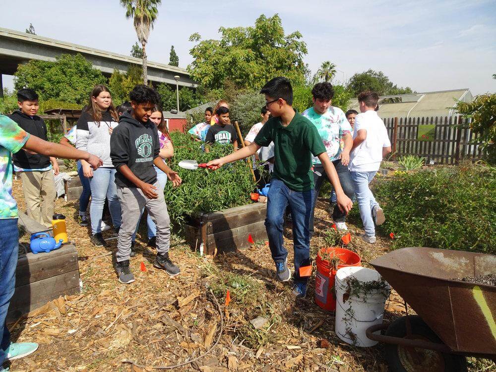 A group of about 10 middle school students stands in a garden in a loose line; the student in the front wearing a green t-shirt and jeans turns around to pass a small trowel to the student behind him 