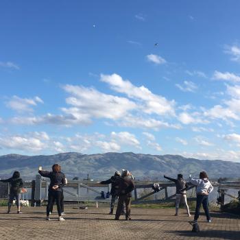 A group of seven people with their backs to the camera stand in a tai chi pose with their right arms behind their backs and left arm outstretched, on a concrete deck overlooking a body of water and mountains in the distance