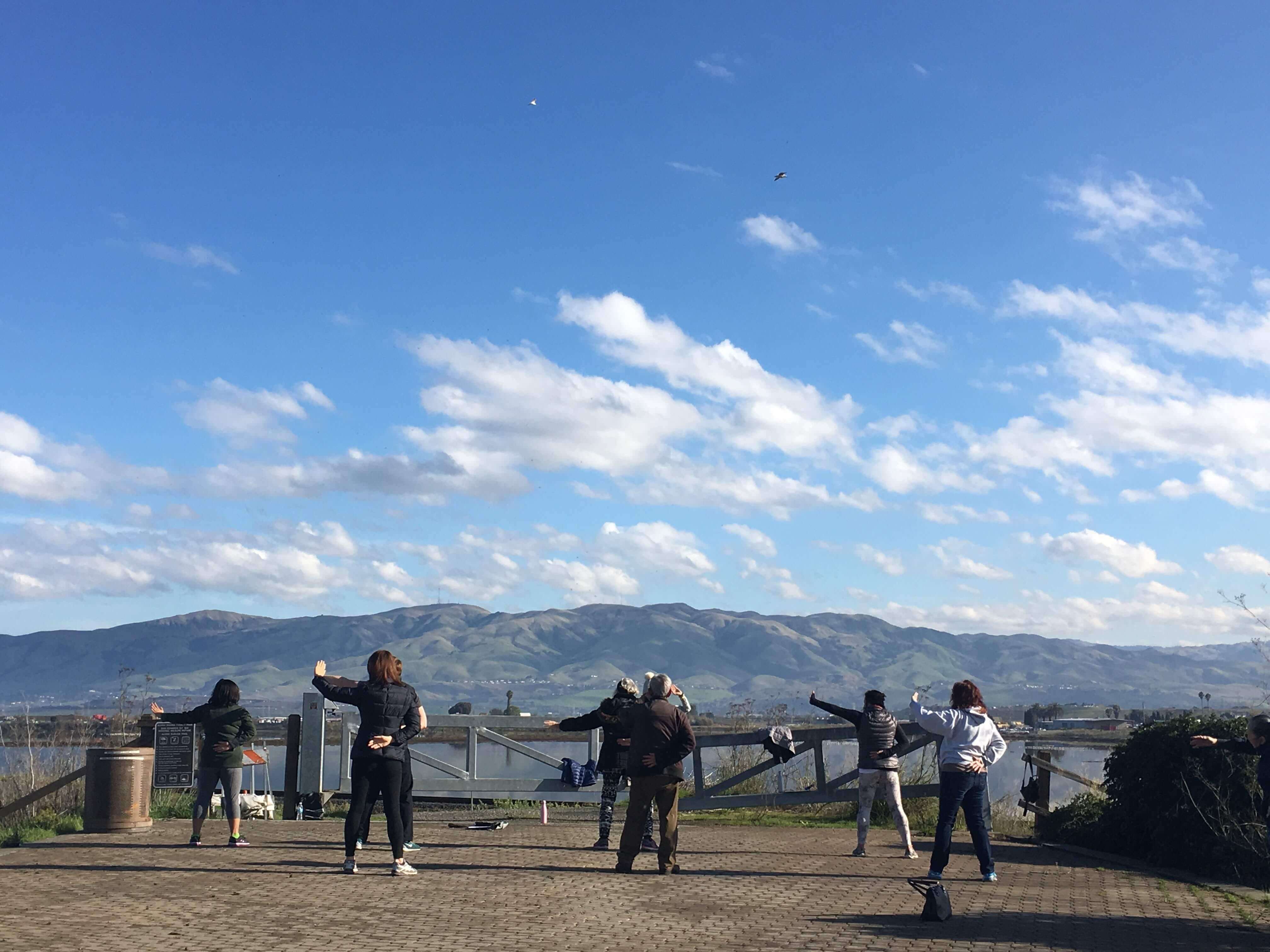 A group of seven people with their backs to the camera stand in a tai chi pose with their right arms behind their backs and left arm outstretched, on a concrete deck overlooking a body of water and mountains in the distance