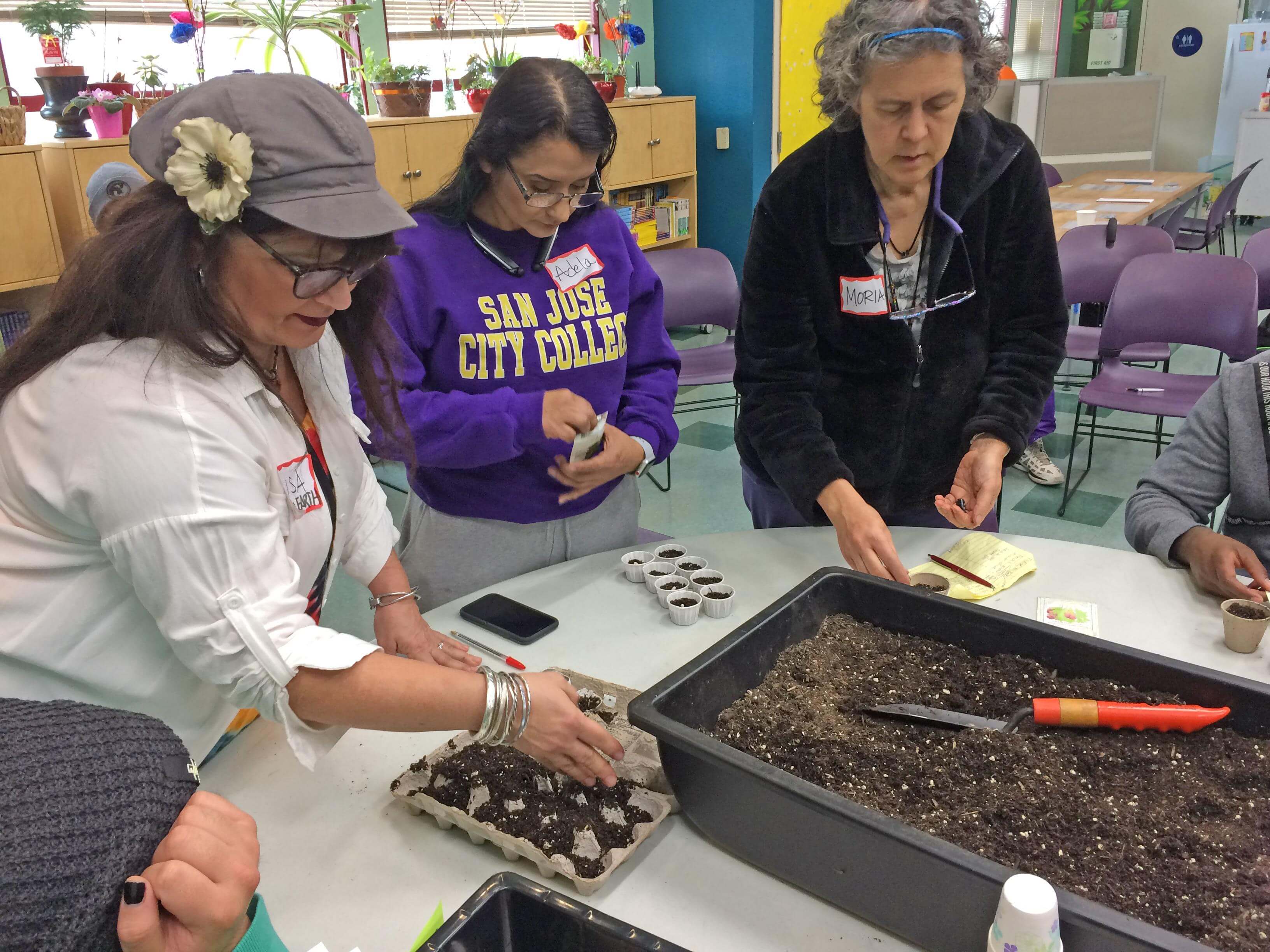 Three people gather around a circular table in classroom setting that has a shallow pan full of garden soil and small paper cups filled with soil; their hands reach forward to place seeds in the cups.