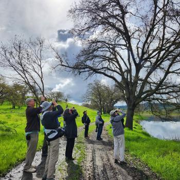 A group of adults wearing jackets and outdoor hats stand on a muddy path under large trees looking up and to the right, most of them holding binoculars up to their eyes