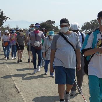 A group of people wearing face masks and most holding mobility canes walking on a paved nature path next to a body of water towards the camera