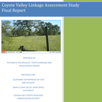 Report cover with white text on blue that reads "Coyote Valley Wildlife Linkages Assessment Study Final Report" over a photo of a coyote in a green field