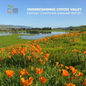 Report cover with white text that says "Understanding Coyote Valley Existing Conditions Report" over a full-page image of a field of orange poppies in front of a blue wetland.