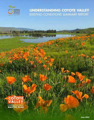 Report cover with white text that says "Understanding Coyote Valley Existing Conditions Report" over a full-page image of a field of orange poppies in front of a blue wetland.