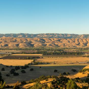 Looking across Coyote Valley, covered in golden fields and farmlands, towards rolling golden hills in the distance all under a blue sky
