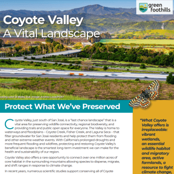 Report cover with white text that reads "Coyote Valley A Vital Landscape" over an images of a valley bisected by a busy freeway