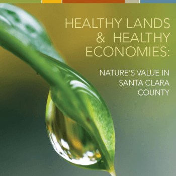 A report cover with fine text that reads "Healthy Lands & Healthy Economies: Nature's Value in Santa Clara County" next to a macro image of a drop of water on a green leaf