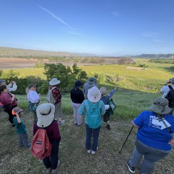 A group of people stand at the top of a hill overlooking a green valley bathed in late-afternoon light, under a clear blue sky