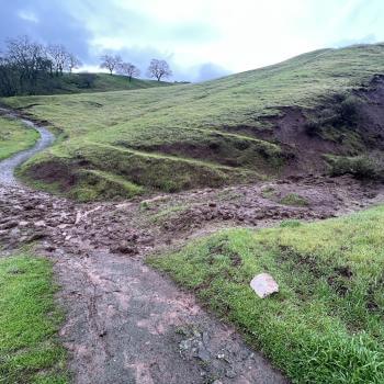 A muddy trail winding through green hills is blocked by a small mudslide cutting across it