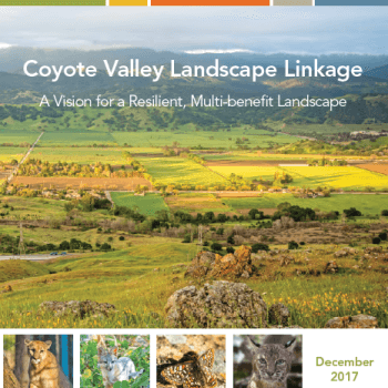 Report cover with white text that reads "Coyote Valley Landscape Linkage" over a photo of a valley landscape and a banner collage at the bottom with images of wildlife