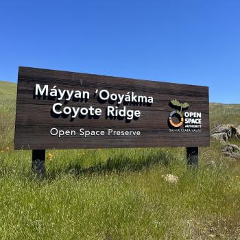 Dark brown wood sign on a grassy green slope that says "Máyyan 'Ooyákma - Coyote Ridge Open Space Preserve" in big white letters next to the Open Space Authority logo