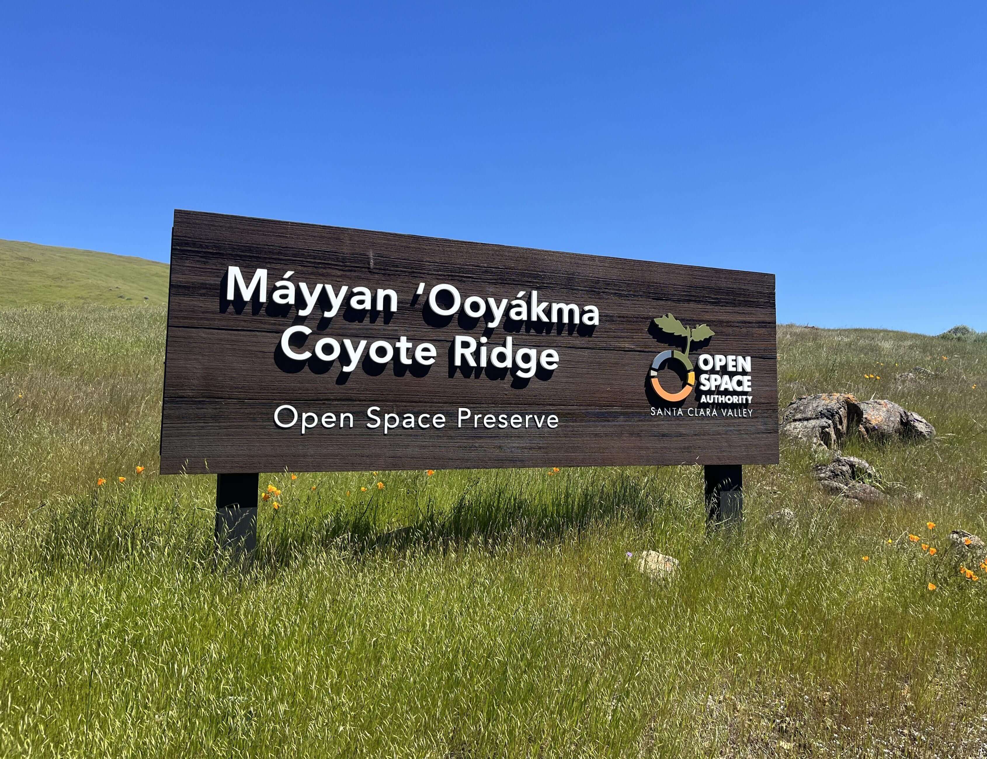 Dark brown wood sign on a grassy green slope that says "Máyyan 'Ooyákma - Coyote Ridge Open Space Preserve" in big white letters next to the Open Space Authority logo