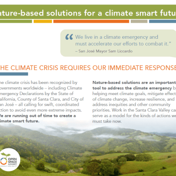 Report cover with white text on a green banner that reads "Nature-Based Solutions For A Climate Smart Future" over more text on a white background and landscape photo