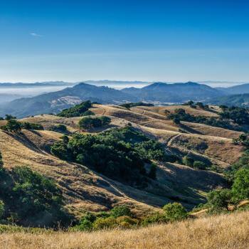 Rolling golden hills covered in dark green trees and crisscrossed with trails, with blue mountains in the distance, under a bright blue sky