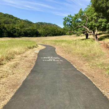 A paved asphalt trail going through a meadow of light green and golden grass, towards a forest of dark green trees, under a blue sky