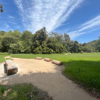 A dirt trail with a seating area consisting of wooden tree logs and a rustic wooden bench, surrounded by a green meadow fringed with large leafy trees under a blue sky with white streaky clouds