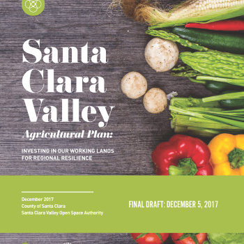 A report cover with white text that says "Santa Clara Valley Agricultural Plan" over a background of greyish brown food and fresh vegetables