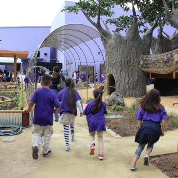 Children wearing dark purple t-shirts running towards an outdoor play area with tree-shaped play structures, a rope bridge, and garden planters