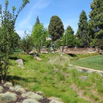 A grassy swale and lawn area with shrubs and small trees, in the distance is a small pedestrian bridge and play structure