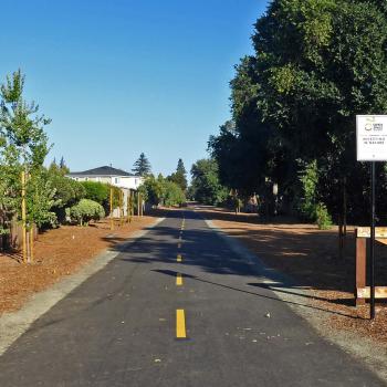 An asphalt walking trail stretching straight away from the camera, bordered by low split-rail fences and bark chip landscaping and trees