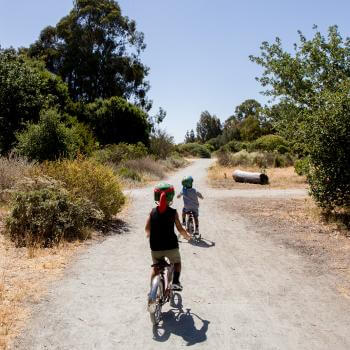 Two children on tricycles ride away from the camera on a dirt and gravel pathway bordered by native plants and large trees