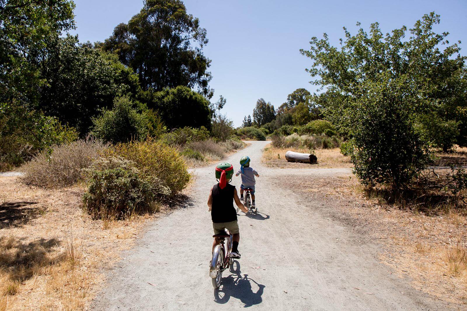 Two children on tricycles ride away from the camera on a dirt and gravel pathway bordered by native plants and large trees