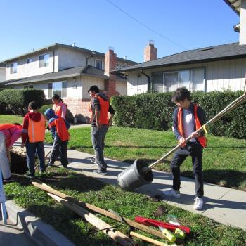 A group of teens wearing orange vests work on planting a tree sapling in a hole next to a sidewalk in a residential neighborhood
