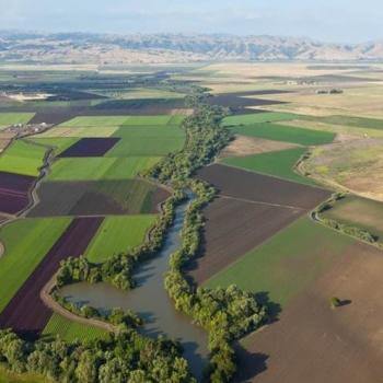 An aerial view of agriculture in Santa Clara Valley