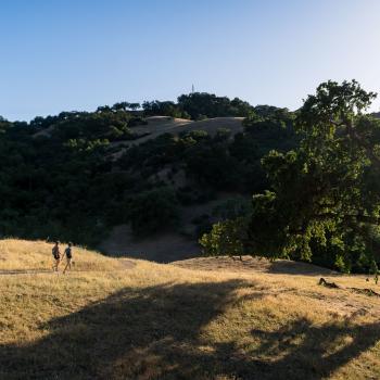 Two hikers walking along a path on a golden grassy hillside with a darker, taller hill behind them and the afternoon sun shining from the top right of the photo