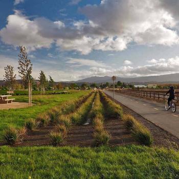 A cyclist rides their bike along a paved trail next to a park with a green lawn, picnic tables, small trees, and shrubs, under a vast blue sky with white fluffy clouds