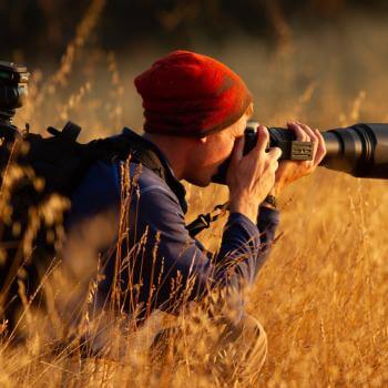 A man wearing a red beanie and navy blue shirt knees in a field of golden grass holding up a camera with a long lens, taking a photo of something to the right