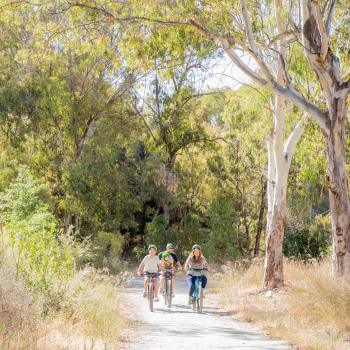 Family bikes down a trail surrounded by trees