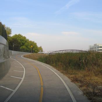 A paved bike trail with yellow and white lines curves up a slight incline with tall grasses on the right and a concrete wall with relief sculptures and a fence top on the left