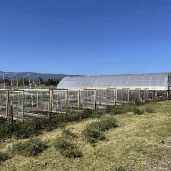 Newly constructed farm beds located at Martial Cottle Park