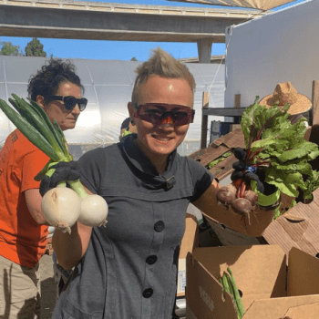 An individual holds up onions and beets while boxing up produce