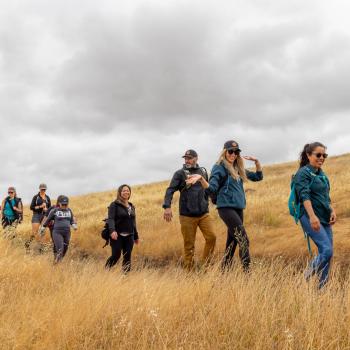 A line of 12 smiling hikers walk in single file on a trail across a hill covered in golden grass towards the camera