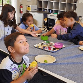 A ground of young students sit around a classroom table, the four in the back reach towards a small colorful dish, one student closer to the camera holds a corn cob in his hands and smiles up to someone our of frame