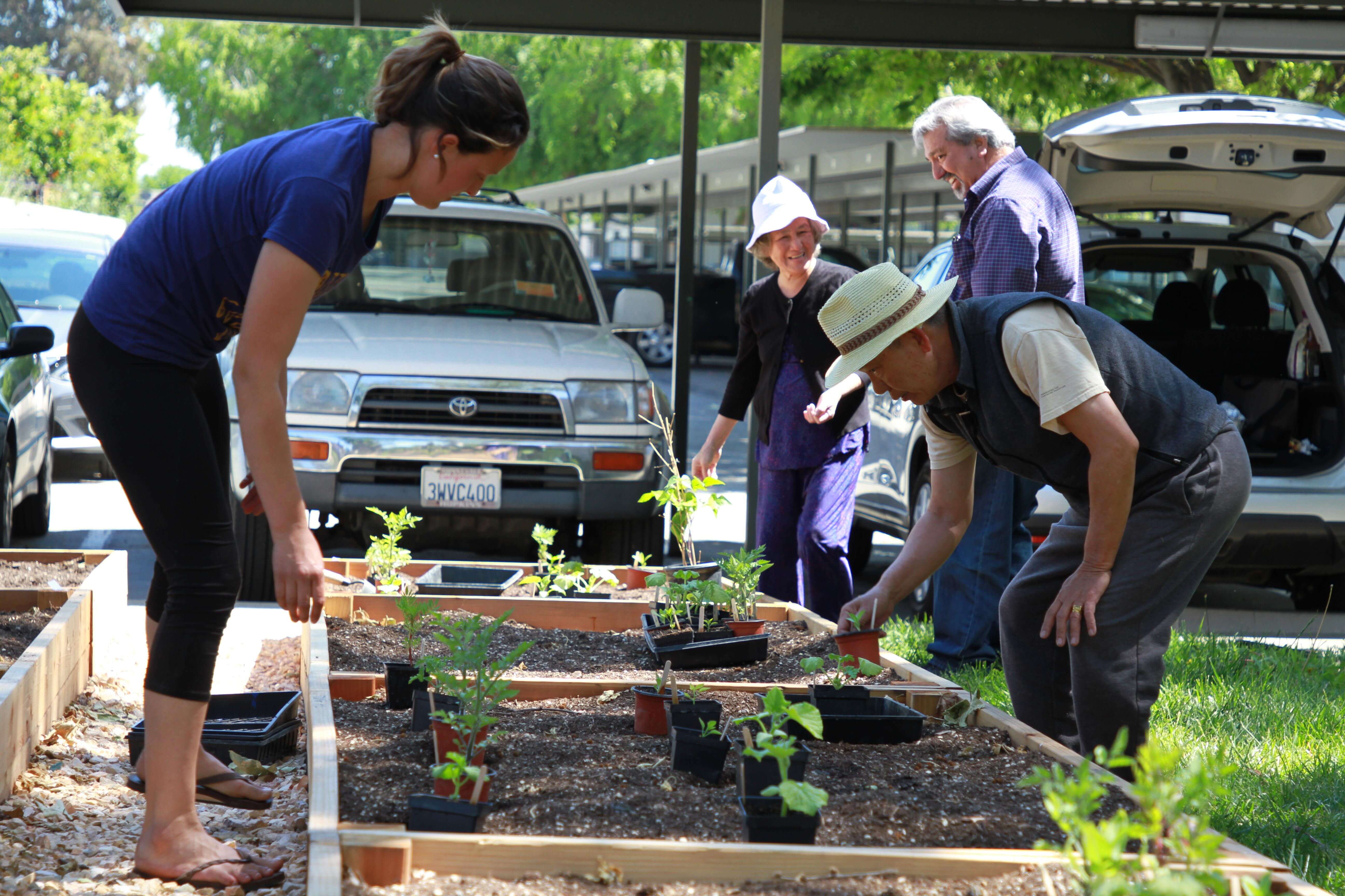 Four people standing around and leaning towards a garden bed filled with plant seedlings in black plastic containers