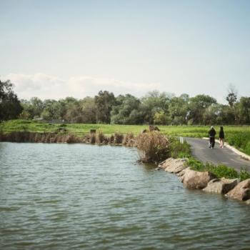 Two people walk along a paved trail winds around the edge of a small lake with rippling water, next to a green field with a line of dark trees on the horizon
